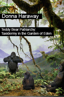 Donna haraway when species meet pdf